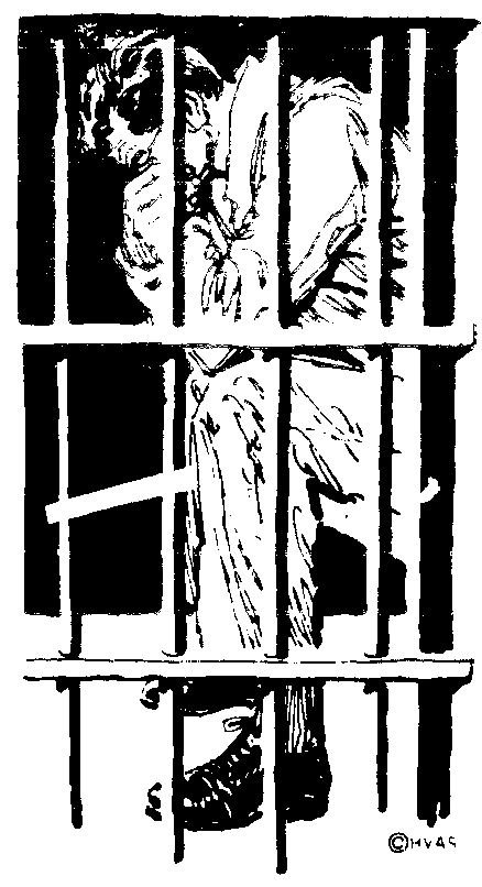 accept.gif (17308 bytes)